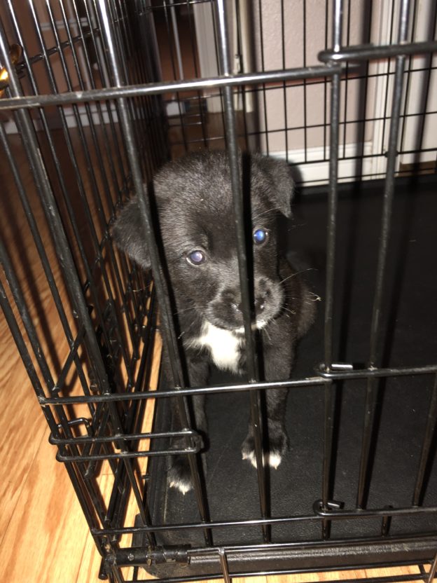 You know what kind of day it’s going to be…