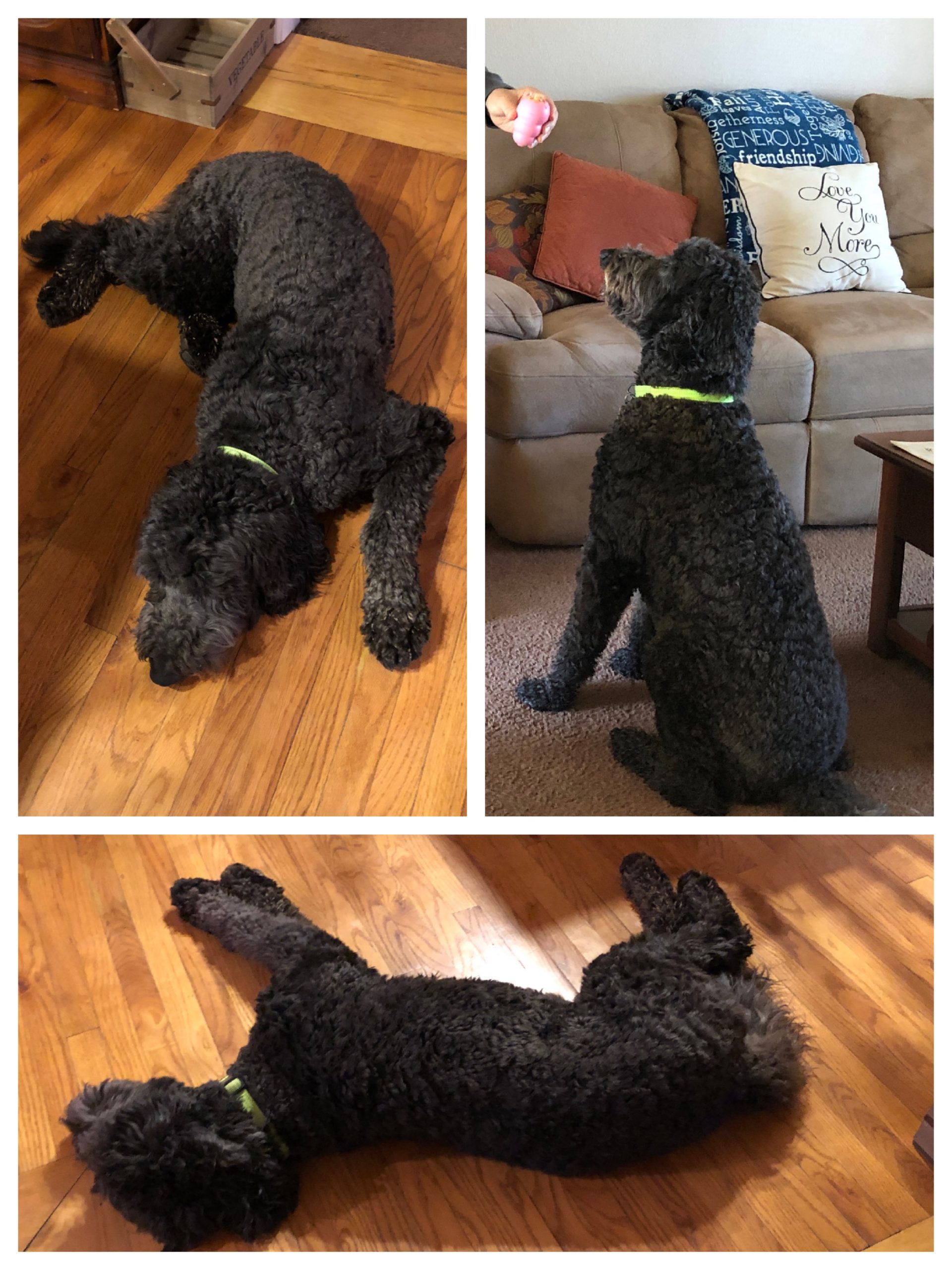 Almost the middle of January