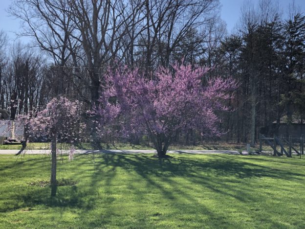 Another week in the bucket…