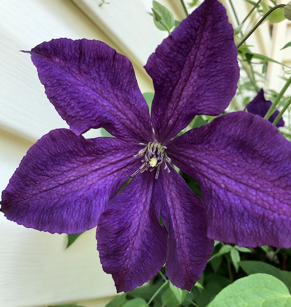 Where did the month go?