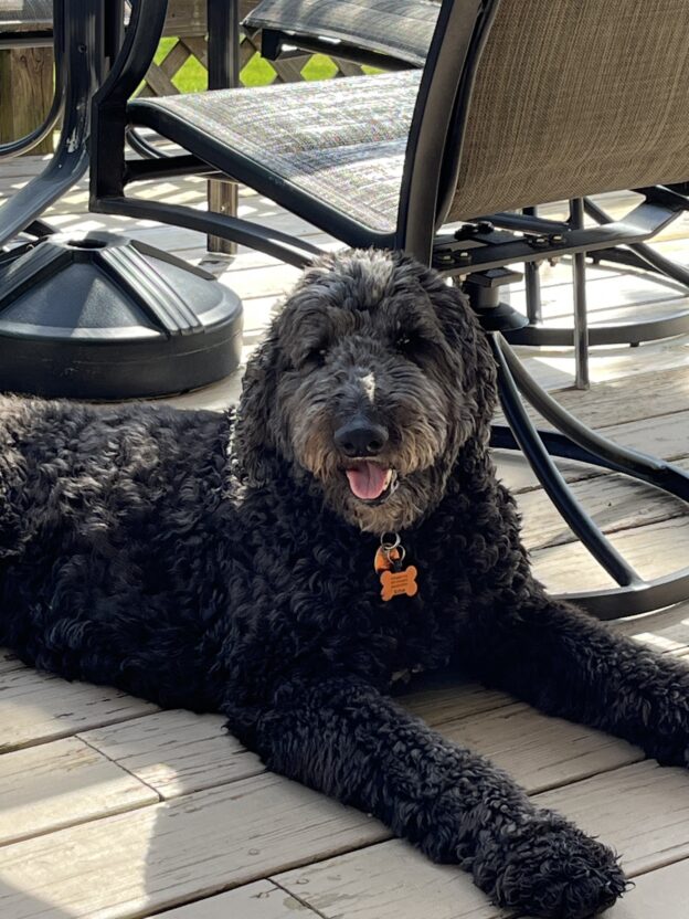 Look who turned six!