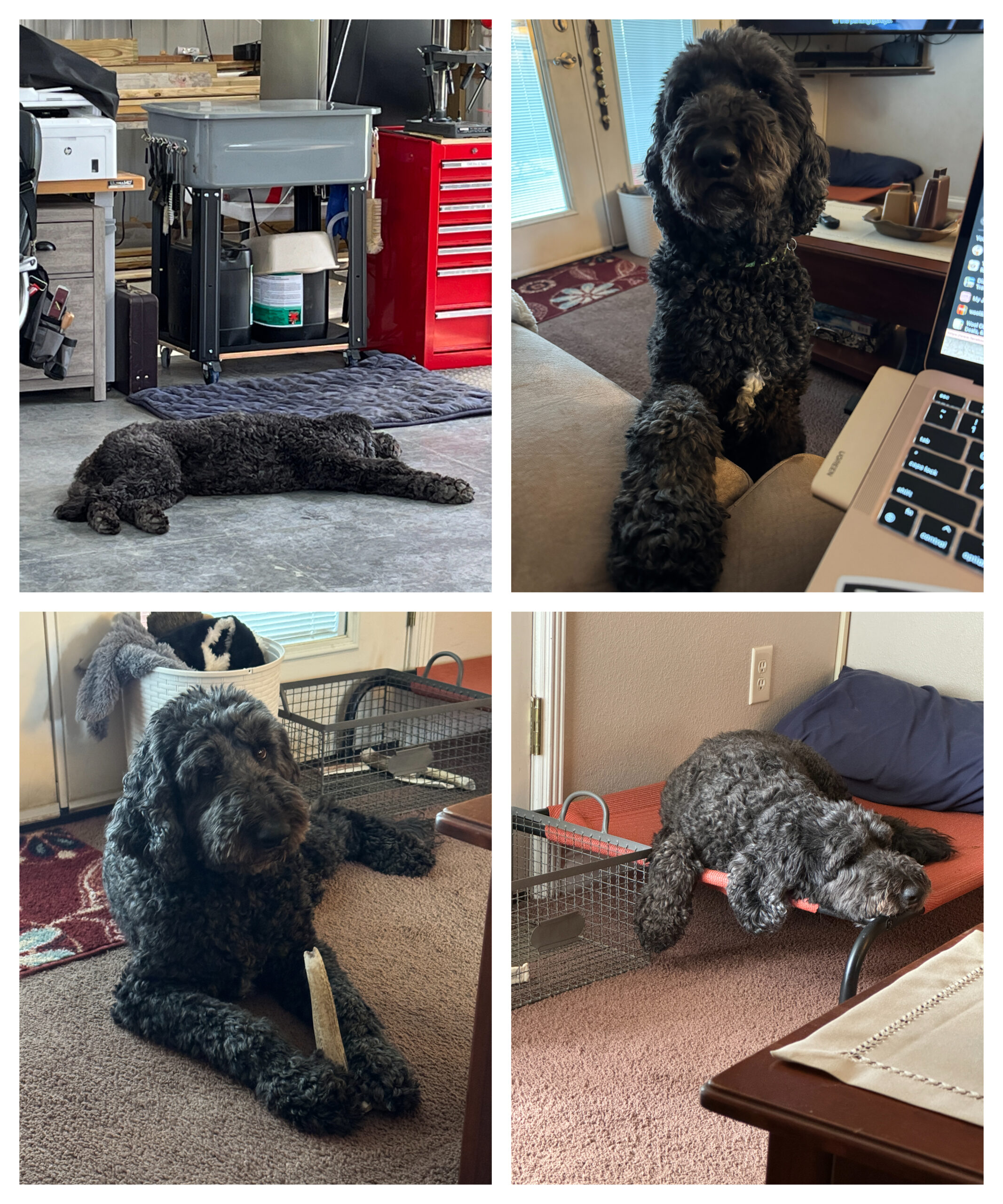 So what’s up next?