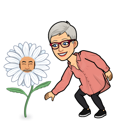 Quietly blooming….