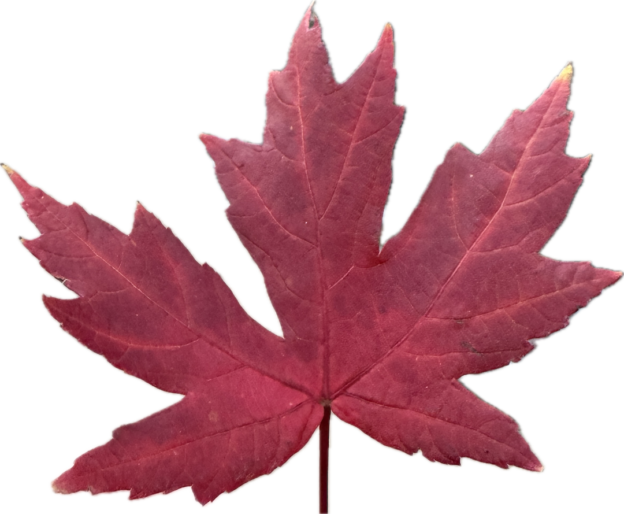 Great trip, back home, work to be done!